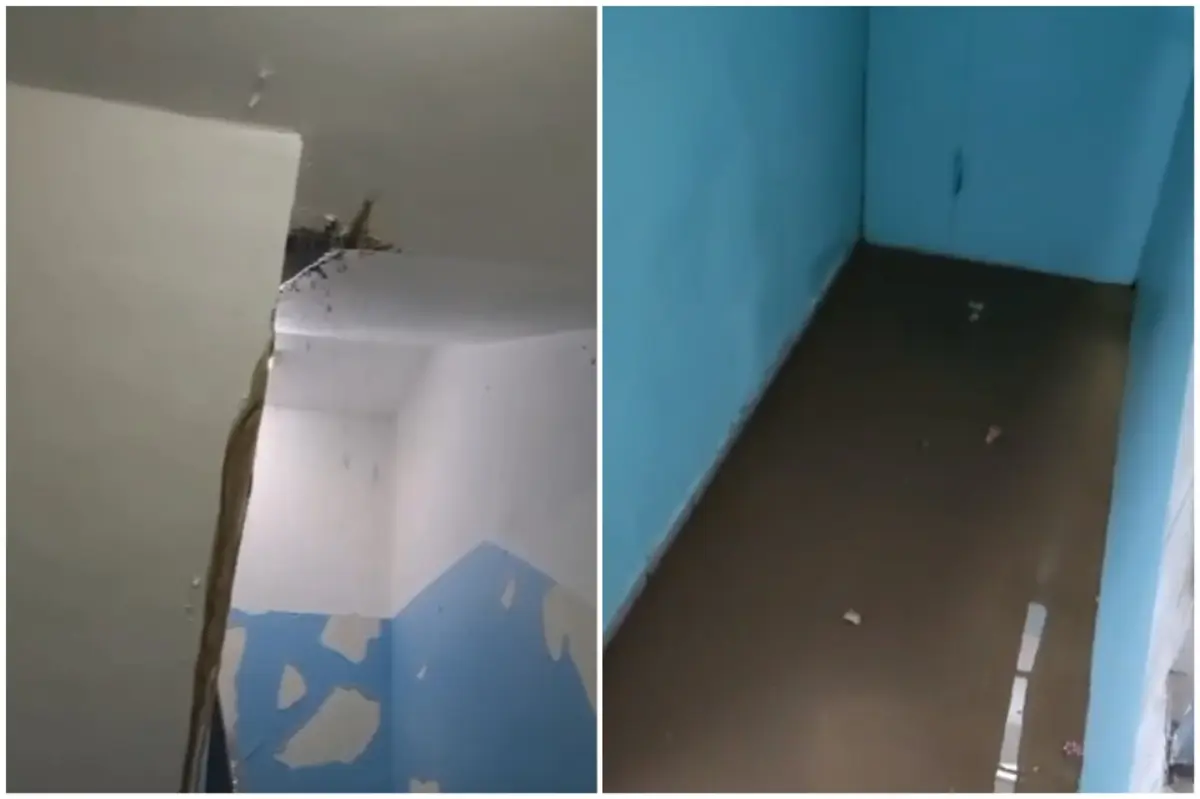 Коллаж из кадров видео