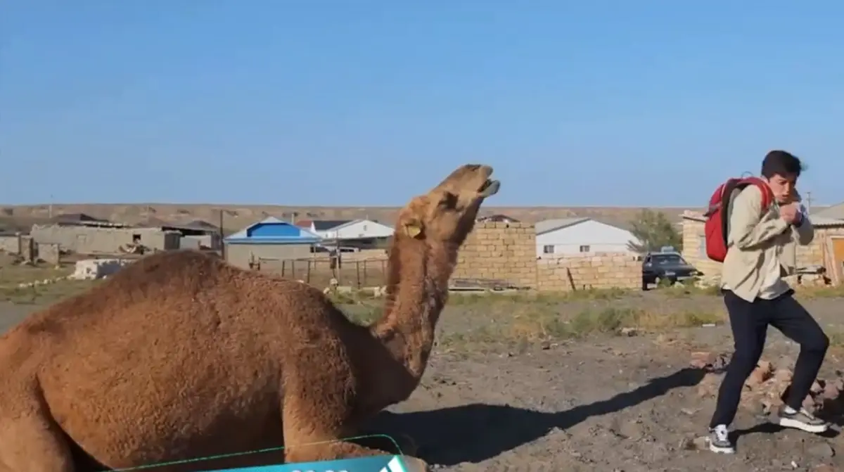 Кадр видео