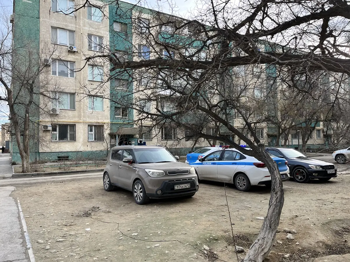 Использованные в материале фото – автора