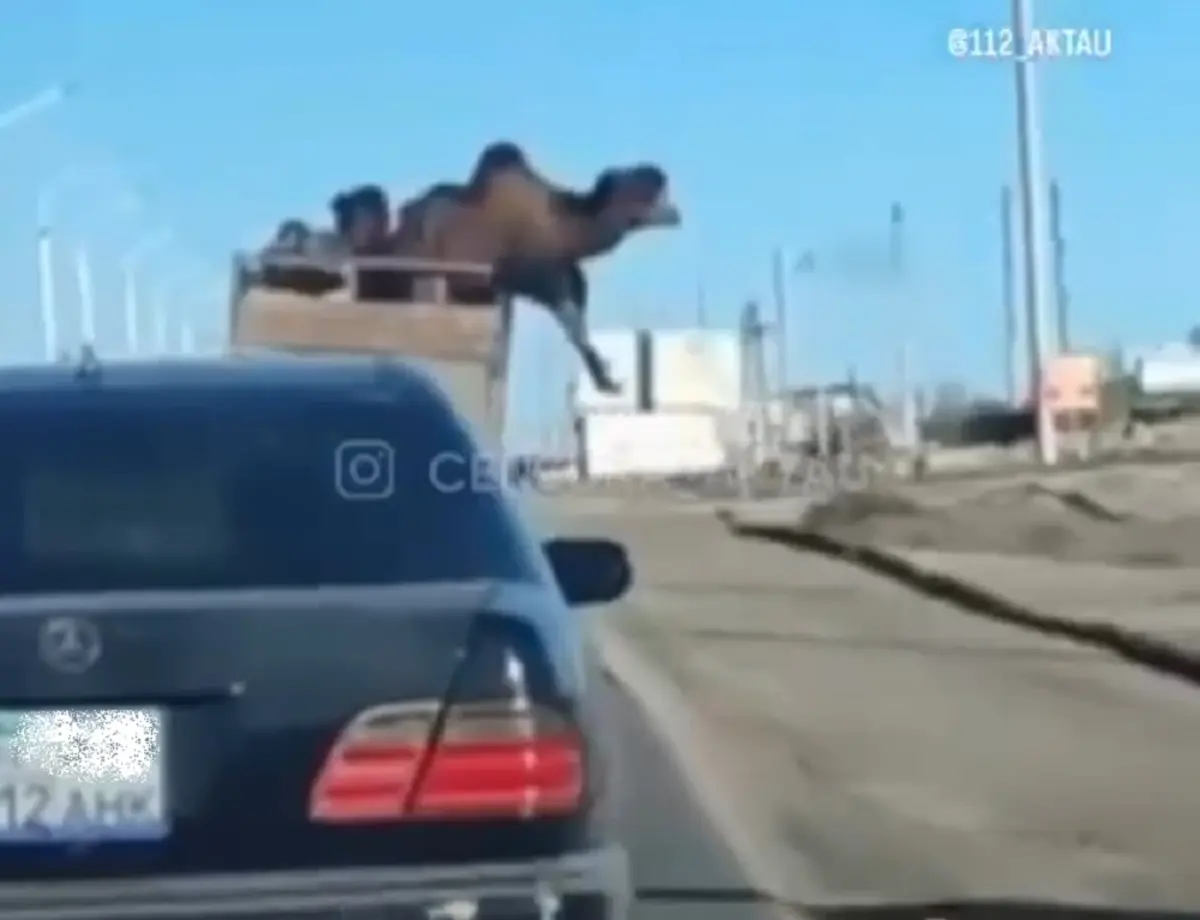 Кадр видео