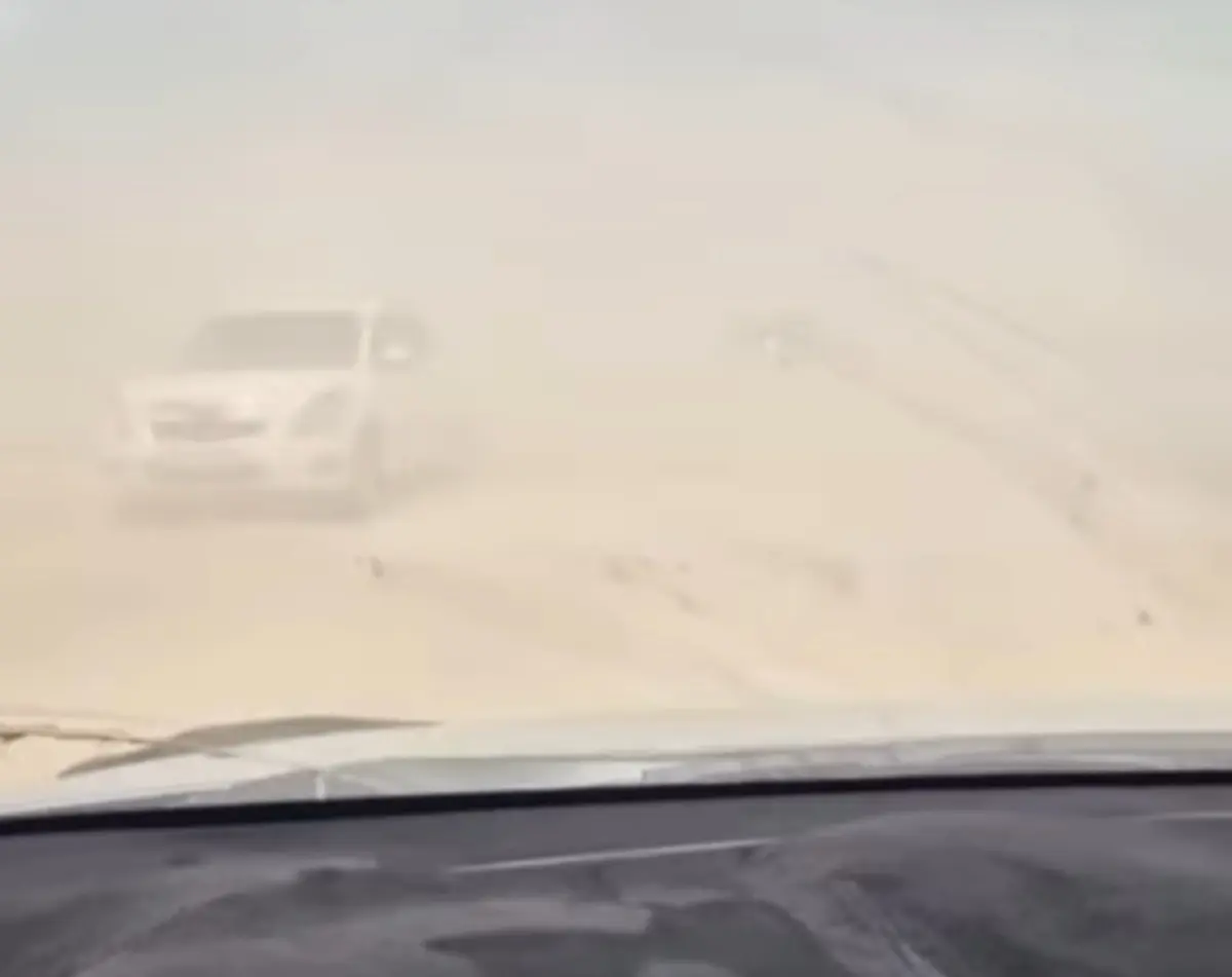 Кадр видео