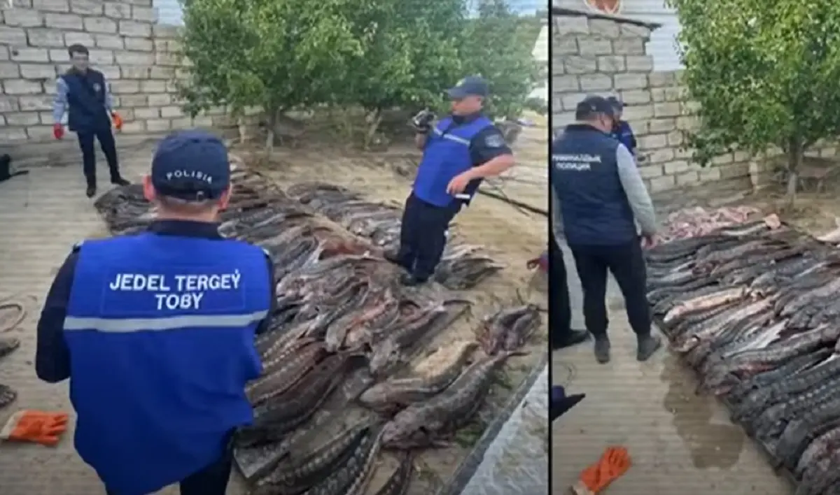 Кадр видео