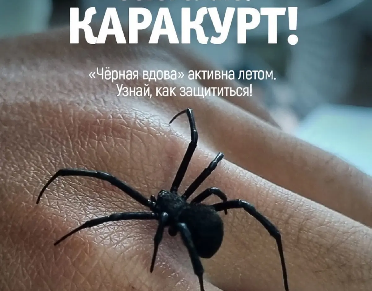Фото Института зоологии РК