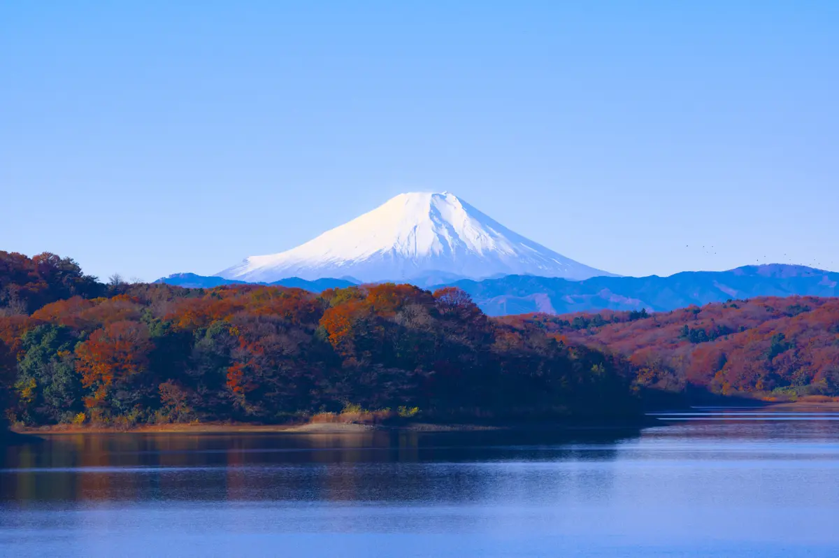 Фото: Pixabay