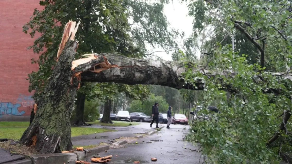 Фото: DW  https://www.inform.kz/ru/moshniy-shtorm-obrushilsya-nastrani-baltii-iostavil-sotni-tisyach-domov-bezsveta-af213d51