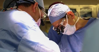 В США проведена первая успешная операция по пересадке свиной почки человеку