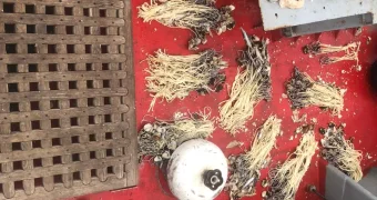 Ущерб в 2,3 млрд тенге предотвратили на Каспии пограничники трех стран