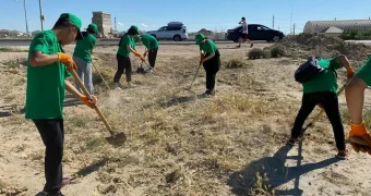 В Мангистау с 15 мая стартует прием заявок на работу в трудовой отряд «Жасыл ел»