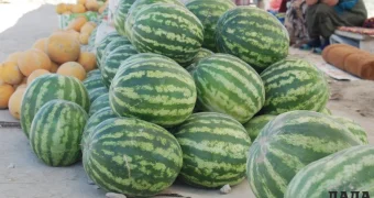 Акимат Актау: Выданы разрешения на установку сезонных торговых объектов в городе