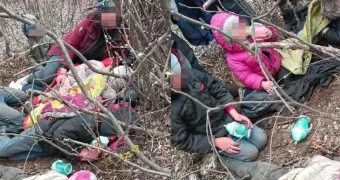 "Это мои дети, честное слово": семью нашли в лесу в Казахстане