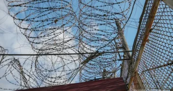 Казахстанец продал несуществующие лампочки, сделал ставку. И все это сидя в тюрьме