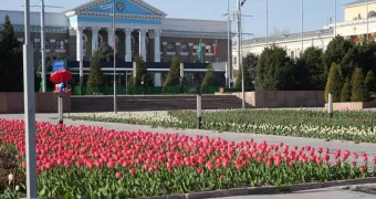 Мэр Бишкека ввел необычный запрет для подчиненных по вторникам и четвергам