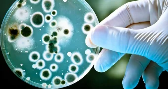 В Мангистау увеличилась заболеваемость бруцеллезом