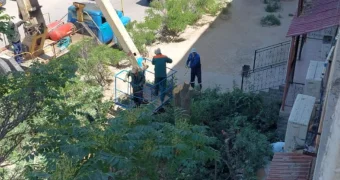 Живые деревья вырубили ради пристройки в Актау