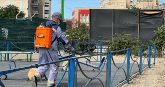 В Актау травят блох