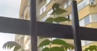 В управлении домом в Актау рассказали о солидоле на заборе и о колючей проволоке по соседству