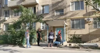 От засилья блох страдают жители многоэтажек в Актау