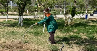 «МАЭК» просит поливать деревья в Актау ночью