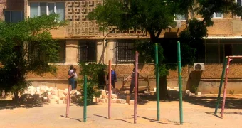 Какую ответственность понесет женщина, вырубившая деревья в Актау