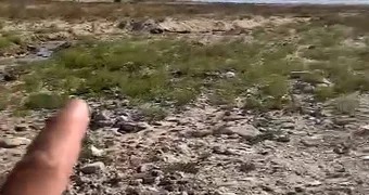 Сброс воды с базы отдыха в море зафиксирован в пригороде Актау