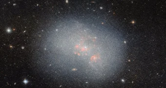 Тимур Турлов: семья, дети и жена — личная жизнь миллиардера за рамками бизнеса