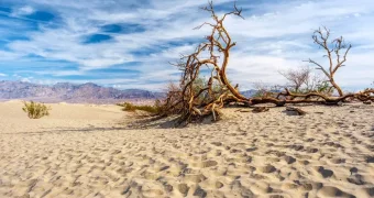Турист получил сильнейшие ожоги в Долине Смерти