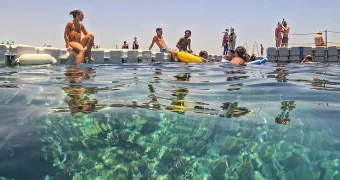 Россиянка описала отдых в Египте фразой «были вечно голодные и похудели»