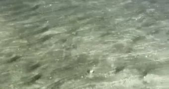 Пятна на Каспии: экологи Мангистау не нашли видимых следов загрязнения