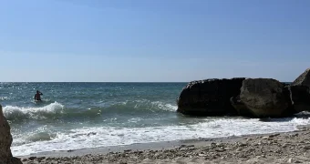 Тюркские государства договорились о создании упрощенного таможенного коридора