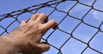 Заключенные устроили бунт в колонии Туркестанской области