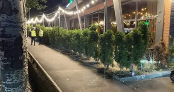 Устроивших стрельбу в баре ищут в Алматы