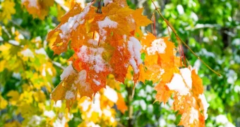 Каким будет октябрь в Казахстане: прогноз синоптиков