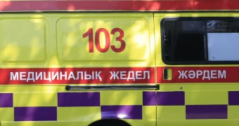 Школьница случайно выстрелила в глаз мальчику в Павлодарской области