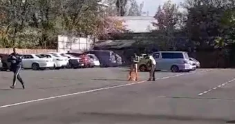 Мужчина поджог свой автомобиль и себя на штрафстоянке в Алматы (ВИДЕО)