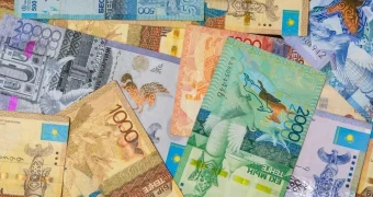 В каких случаях могут отказать в выплате пенсионных накоплений выезжающим на ПМЖ за рубеж?