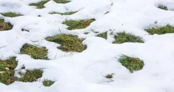 Циклон принесет сильные дожди и метели в Казахстан