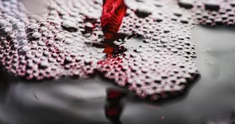 Врачи рассказали, в каком возрасте нужно полностью отказаться от алкоголя