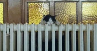 Казахстанцам вернут почти 770 миллионов тенге за отопление