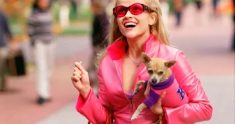 Ученые развеяли миф об интеллекте блондинок