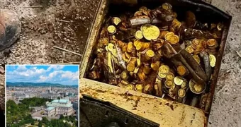 Австрийский сантехник наткнулся на клад во время ремонтных работ: сундук оценили в два миллиона фунтов стерлингов