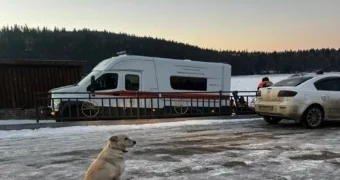 Башкирский Хатико: собака несколько суток ждет на реке провалившегося под лед и погибшего хозяина