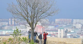 Названы наиболее подверженные риску тромбоза народы