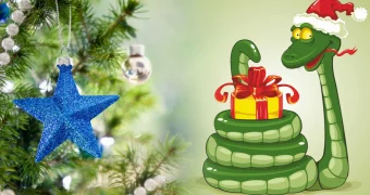 Какие подарки привлекут удачу и богатство в Год Змеи