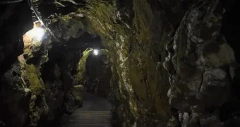 Граждане РК, РФ и Украины создали ОПГ для незаконной добычи золота в Акмолинской области