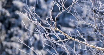 Какая погода ждет казахстанцев на Старый Новый год