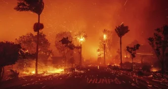 Число жертв пожаров в Калифорнии быстро растет: точные цифры не раскроют - все выгорело дотла