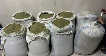 Изъято свыше 300 кг марихуаны: задержана преступная группа в Мангистау