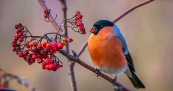 Готовьтесь к сильным морозам: погода в Казахстане резко изменится