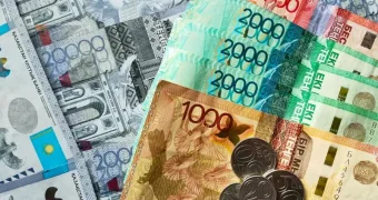 “Более 208 тысяч тенге“. Как получить специальную социальную выплату, рассказали в Минтруда