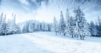 Туман и гололед: в РК снова объявили штормовое предупреждение